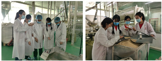 青年紅色筑夢(mèng)之旅 :燕麥之&ldquo;香&rdquo;,扶傳四方