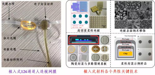 深圳先進院攜多個黑科技產品閃耀CIOE2018，推動光電技術交流與創新